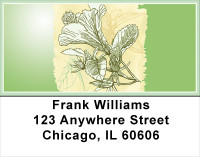 Hibiscus - Yummy Hibiscus Address Labels | LBFLO-64