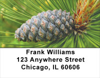 Pinecones A Plenty Address Labels | LBFLO-66