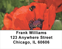 Poppy Address Labels