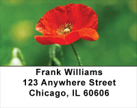 Poppy Address Labels | LBFLO-69