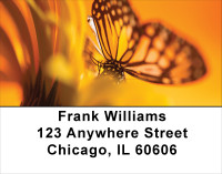 Golden New Day Address Labels | LBFLO-71