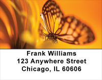 Golden New Day Address Labels | LBFLO-71