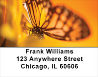 Golden New Day Address Labels | LBFLO-71