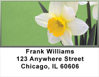 Dreamy Daffodils Address Labels | LBFLO-72