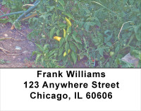 Veggie Garden Address Labels | LBFOD-26