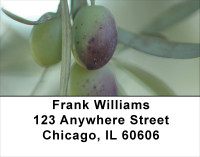 Olive Branch Address Labels | LBFOD-27