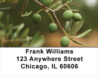 Olive Branch Address Labels | LBFOD-27