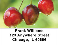 Cherries Address Labels