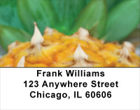 Pineapple Your Way Address Labels | LBFOD-41