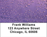 Raining In Technicolor Address Labels | LBGEO-66