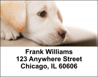 Puppy Love Address Labels | LBLOV-08