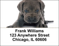 Puppy Love Address Labels | LBLOV-08