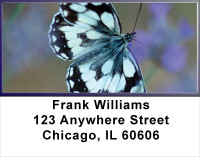Lavender Blue Butterfly Address Labels | LBMUS-15