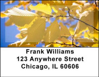 Foliage Address Labels