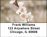 Cherry  Blossoms Address Labels | LBNAT-19