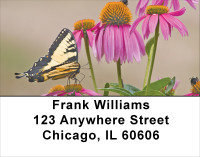 Brown Eyed Susans With Butterfly Address Labels