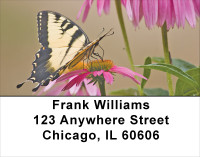 Brown Eyed Susans With Butterfly Address Labels | LBNAT-38
