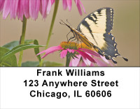 Brown Eyed Susans With Butterfly Address Labels | LBNAT-38