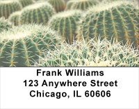 Desert Cactus Address Labels | LBNAT-39
