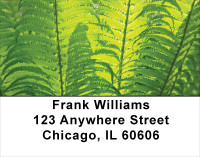 Branching Out Address Labels | LBNAT-40
