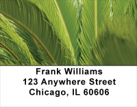 Branching Out Address Labels | LBNAT-40