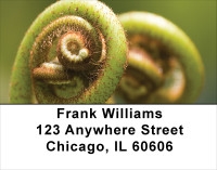 Branching Out Address Labels | LBNAT-40