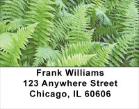 Ferns Address Labels | LBNAT-42
