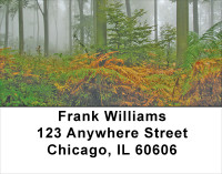 Fern Forrest Address Labels | LBNAT-43