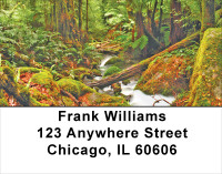 Fern Forrest Address Labels | LBNAT-43