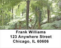 Fern Forrest Address Labels | LBNAT-43
