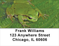 Fern Frogs Address Labels | LBNAT-45