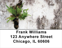 Fern On Walls Address Labels | LBNAT-46