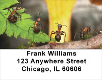 Fern With Insects Address Labels | LBNAT-49