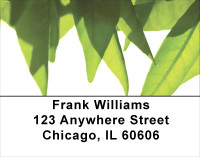 Enchanted Greenery Address Labels | LBNAT-51