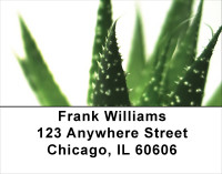 Simply Green Address Labels | LBNAT-52