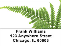 Simply Green Address Labels | LBNAT-52