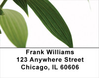 Simply Green Address Labels | LBNAT-52