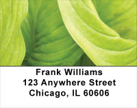 Foliage Abstract Address Labels | LBNAT-60