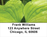 Foliage Abstract Address Labels | LBNAT-60