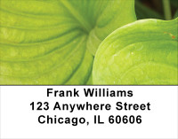 Foliage Abstract Address Labels | LBNAT-60