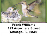 Nummingbird Haven Address Labels | LBQBA-41