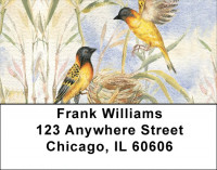 Oriole Watercolor Address Labels