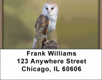 Barn Owls Address Labels | LBQBA-48