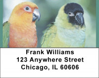 Parakeets In Paradise Address Labels | LBQBA-49