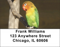Parrot Party Address Labels | LBQBA-51
