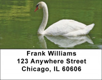 Swans A Swimming Address Labels | LBQBA-63