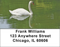 Swans A Swimming Address Labels | LBQBA-63