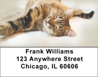 Cat Nap Address Labels | LBQBA-85