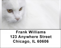 Feline Softness Address Labels | LBQBA-89