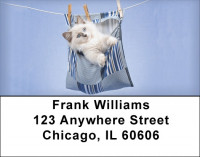 Hanging Out Address Labels